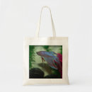 Search for betta accessories Splendens