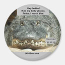 Search for hey magnets Fun