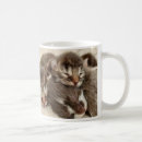 Search for sleeping kitten mugs Feline