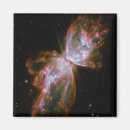 Search for bug pictures magnets Butterfly