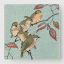 Search for vintage bird art Exotic