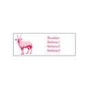 Search for oryx Antelope