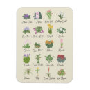Search for indoors magnets Cute