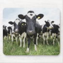 Search for cow mousepads Nature