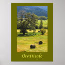 Search for gratitude posters Motivational