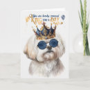 Search for maltese birthday cards Dogs