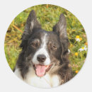 Search for very cute stickers Dog