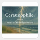 Search for lightning storm stickers Thunder