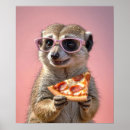 Search for meerkat posters Cute