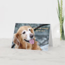 Search for i am cute cards Dog