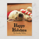 Search for sofa christmas cards Photography