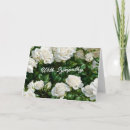 Search for white roses sympathy cards Garden