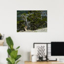 Search for chipmunks posters Wildlife