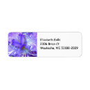 Search for purple iris return address labels Floral