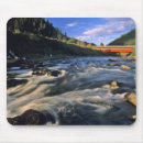 Search for chuck mousepads Oregon