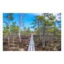 Search for bogs posters Marsh