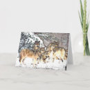 Search for wolf packs cards Father