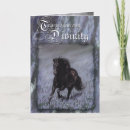 Search for andalusian cards Stallion