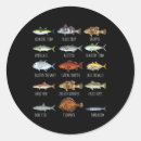 Search for florida fish stickers Hunting