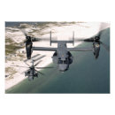 Search for pave art Flying