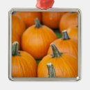Search for squash christmas tree decorations Pumpkin