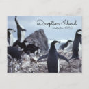 Search for penguin postcards Polar