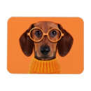 Search for dachshund magnets Dog