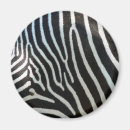 Search for zebra stripes magnets Black and white