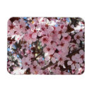 Search for blossoms on tree magnets Flowers