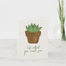 Search for succulents birthday cards Cactus
