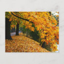 Search for autumn postcards Mountains