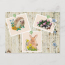 Search for tier postcards Vintage