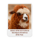 Search for alpaca magnets Llama