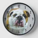Search for bulldog art Puppy