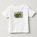 Search for tree frog tshirts Washington