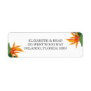 Search for birds stickers Bird of paradise