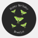 Search for moths stickers Insect