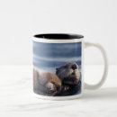 Search for sea otter coffee mugs Mammal