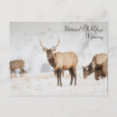 Search for refuges postcards Travel