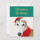 Search for greyhound christmas cards Funny