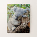 Search for koala puzzles Nature