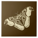 Search for gypsy tiles Nature