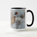 Search for neck mugs Phasianus colchicus