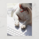 Search for laptops postcards Vertical