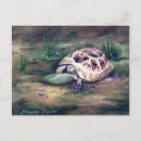 Search for land turtle postcards Reptile