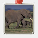 Search for kenya christmas tree decorations Young