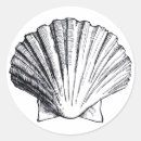 Search for sea scallop stickers Elegant