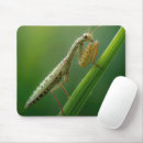 Search for praying mantis electronics Green
