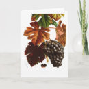 Search for grapes cards Vine