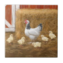 Search for chicken tiles Birds
